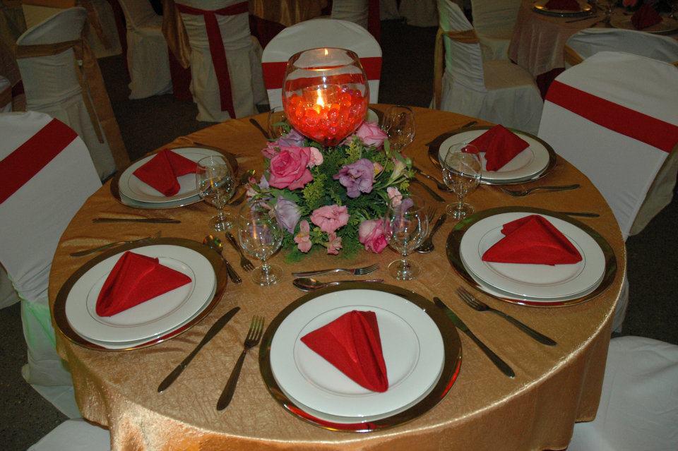 392977_250298291727829_942898460_n